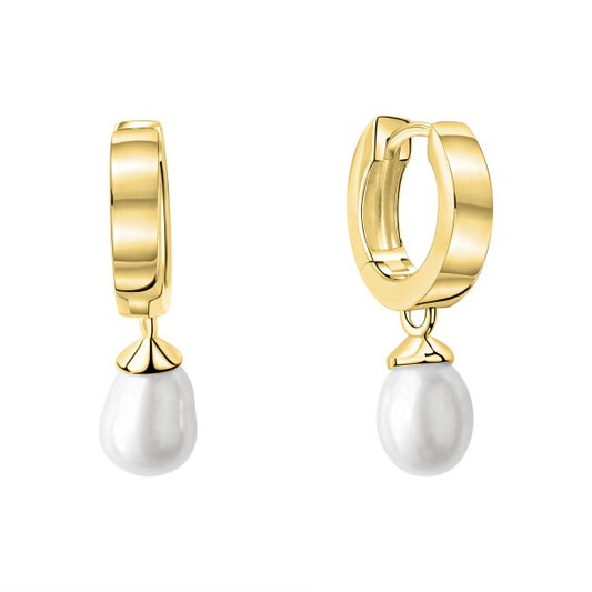 Folding hoop earrings 375/- yellow gold freshwater cultured pearl