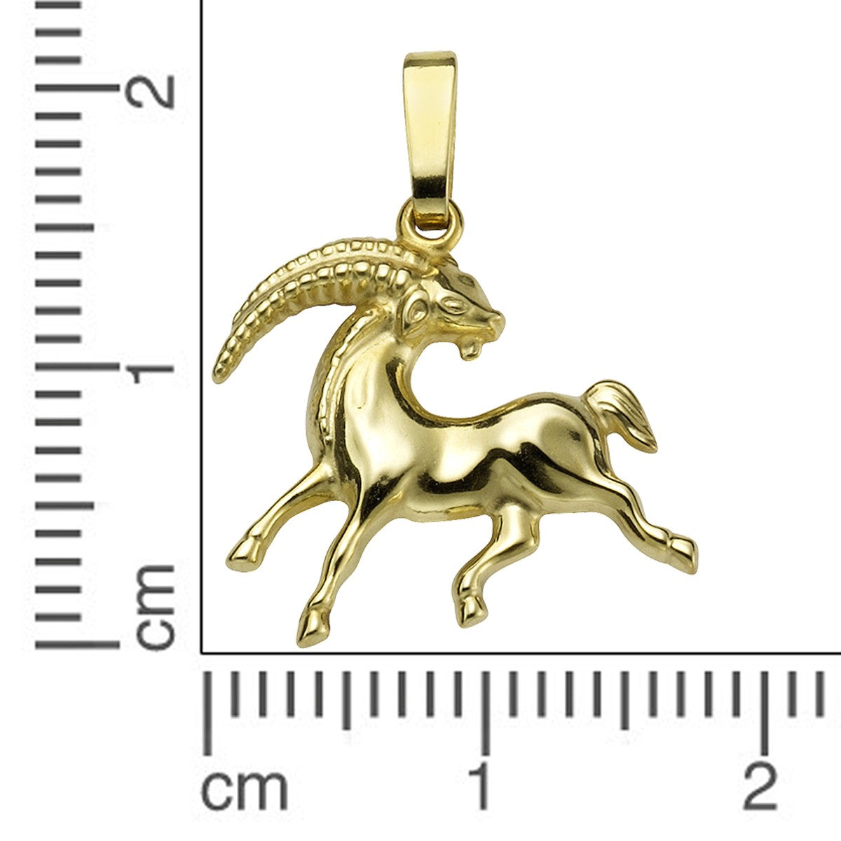 Pendant Zodiac Sign Capricorn 333/- Gold 2.0cm